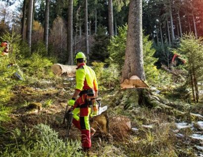 Das Bild zeigt einen Förster im Wald