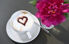 Auf dem Bild ist eine Kaffeetasse und eine pinke Blume zu sehen. Auf dem Schaum in der Tasse ist mit Kakaopulver ein Herz gezeichnet